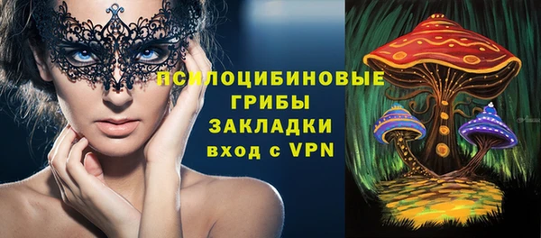 стафф Алзамай