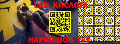 стаф Кандалакша