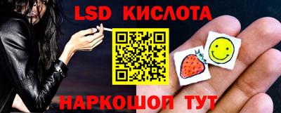 стаф Кандалакша