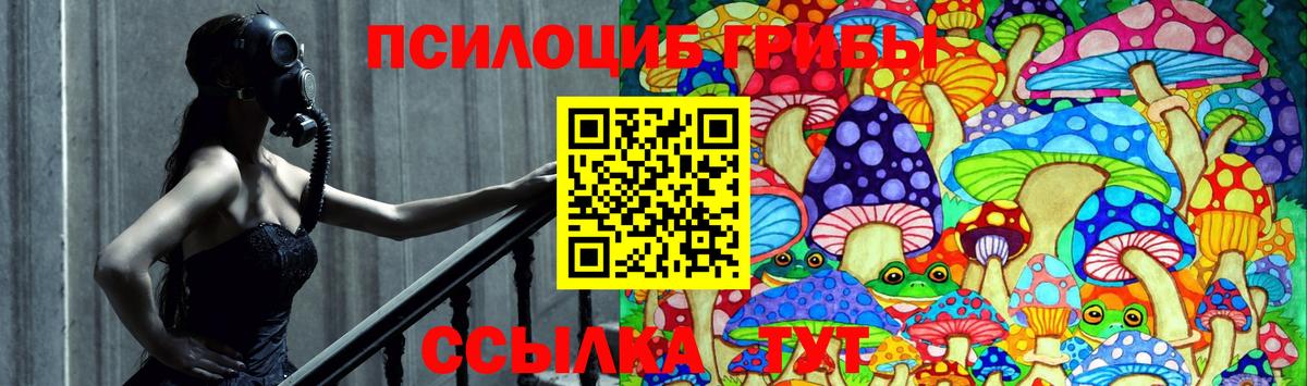 Псилоцибиновые грибы мицелий  Псилоцибиновые грибы Magic Shrooms  Мыски  Вход с VPN 